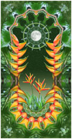 costaricandreams, digital collage