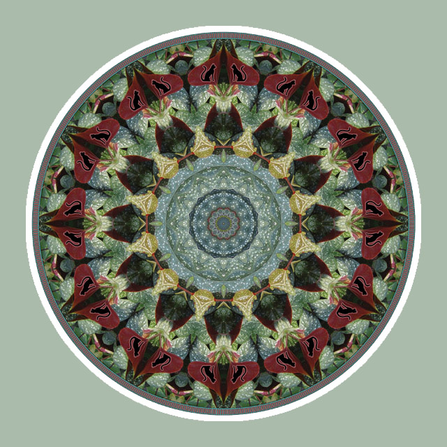 Black Cat Circle, Mandala Art