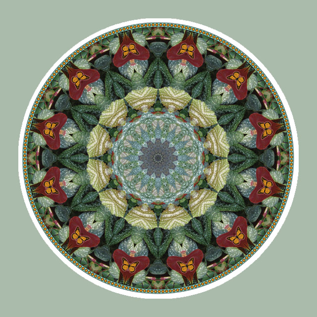 Monarch Circle, Mandala Art