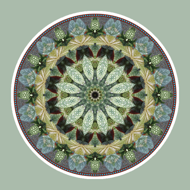 Turtle Flower, Mandala Art