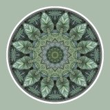 Dragonfly Flower, mandala art