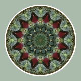 Frog Circle, mandala art