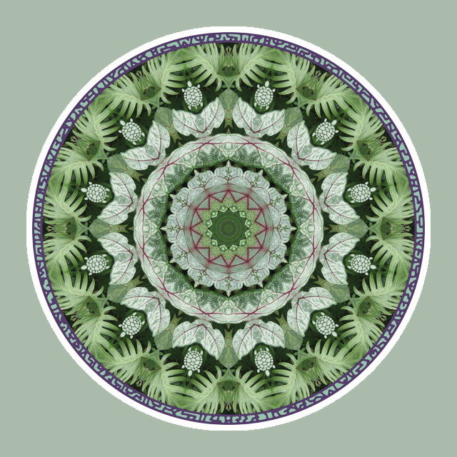 Calladium Turtlewheel, Mandala Art
