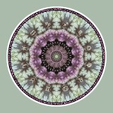 Mandala Art