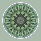 Mandala Art