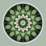 Mandala Art