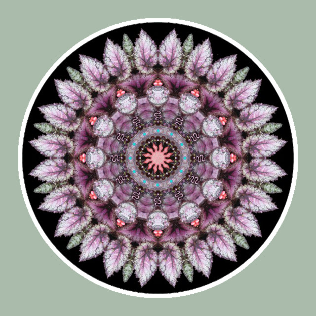 Pink Sun Mandala, Mandala Art