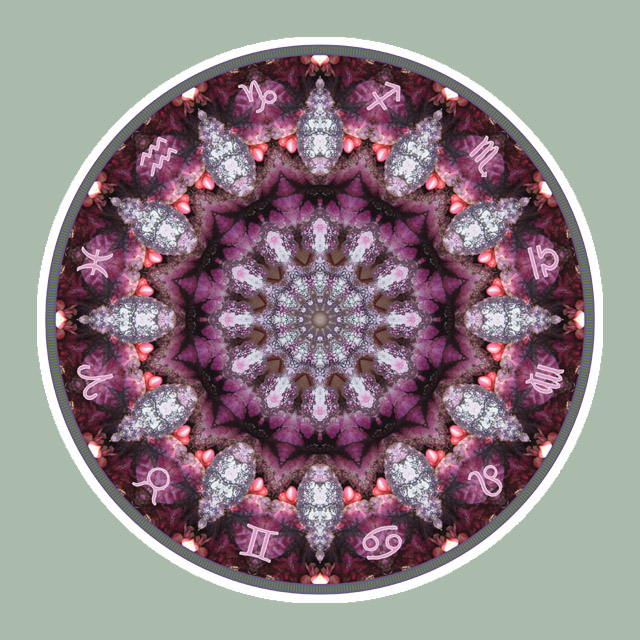 Amaranth Zodiac, Mandala Art