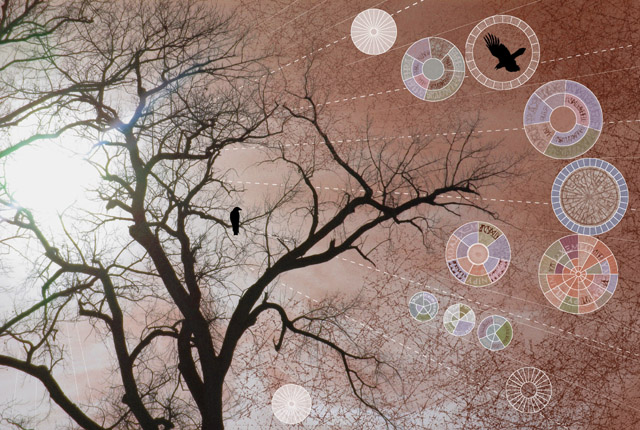 Solar Radians, digital collage