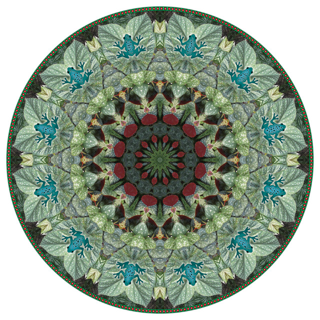 blue frog mandala. botanical mandala