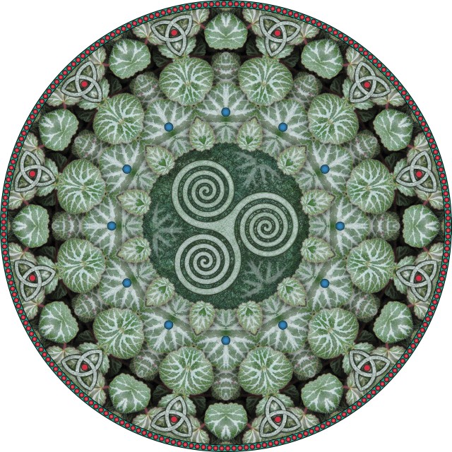 Celtic Spiral Mandala. botanical mandala
