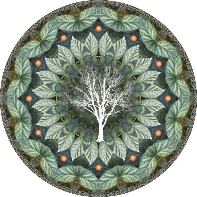 Cicada Treeflower. botanical mandala