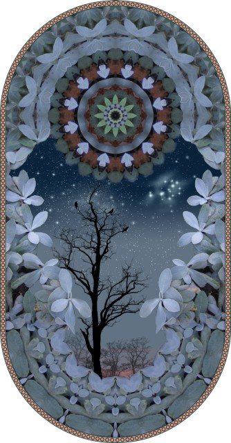Crows Contewmplate the Pleiades. botanical mandala