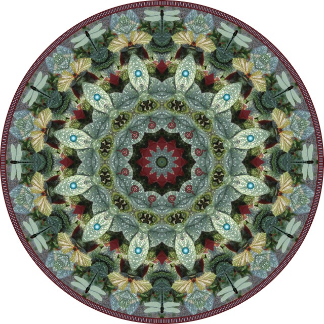 Dragonfly Wheel. botanical mandala