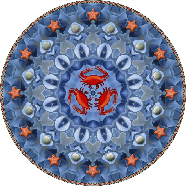 Seashore Mandala. botanical mandala