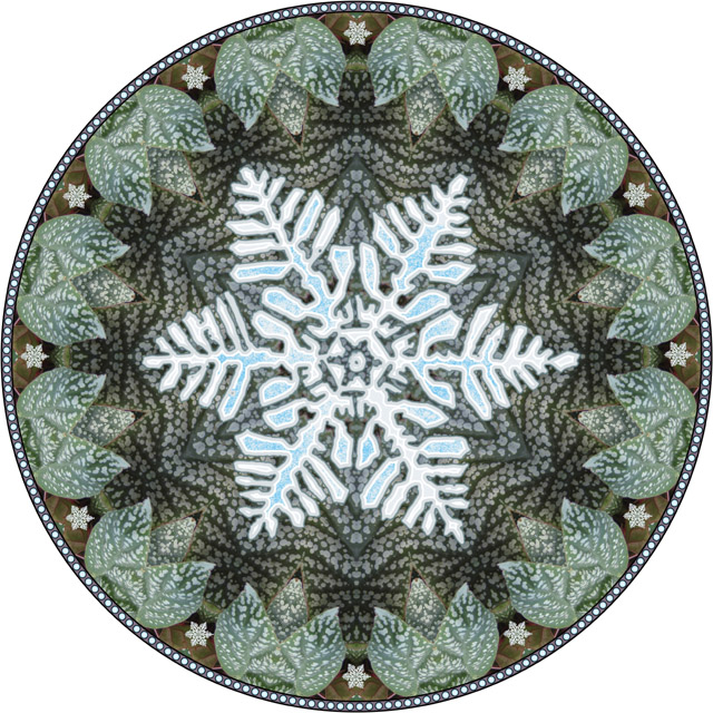 snowflake mandala. botanical mandala