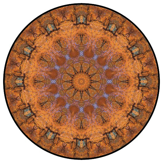 botanical mandala, mandala art