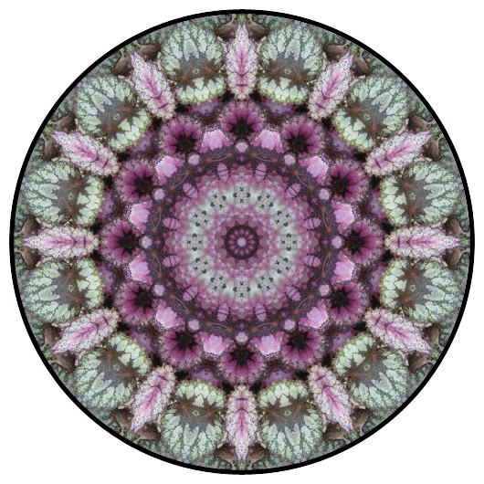 botanical mandala, mandala art