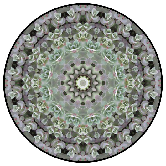 botanical mandala, mandala art