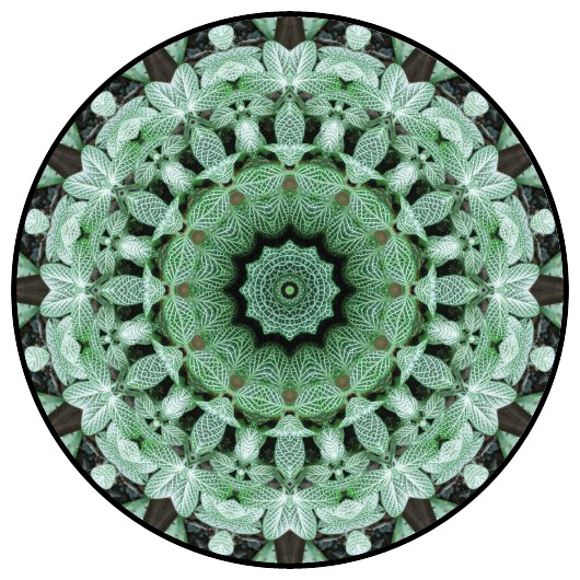 botanical mandala, mandala art