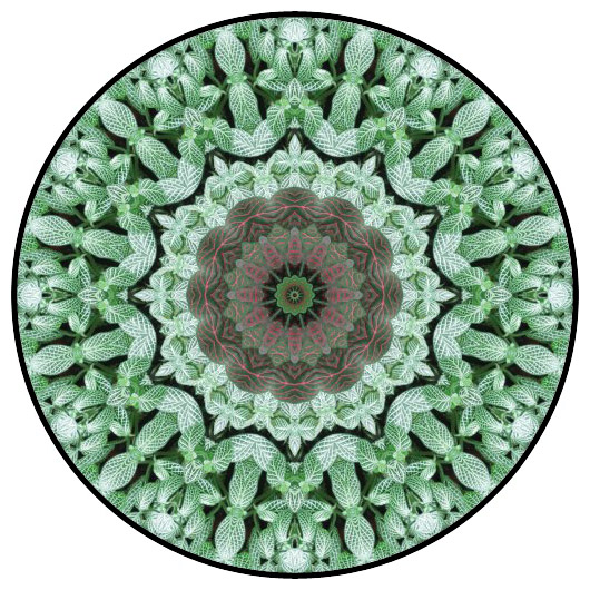 botanical mandala, mandala art