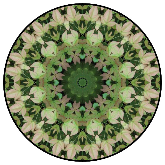 botanical mandala, mandala art