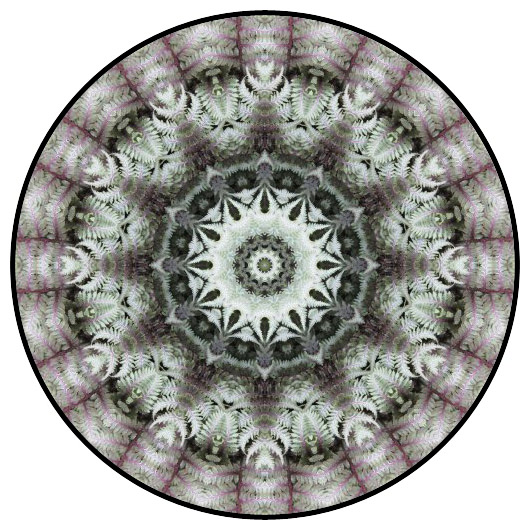 botanical mandala, mandala art