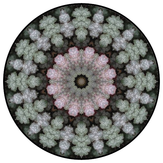 botanical mandala, mandala art
