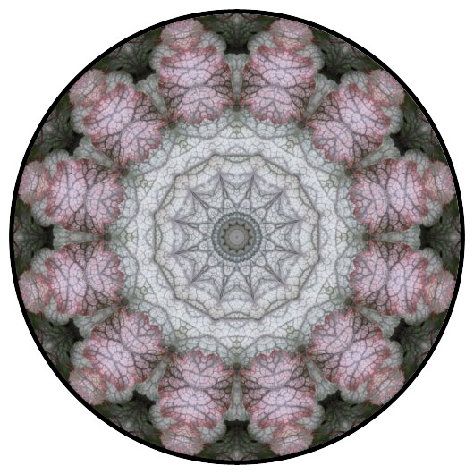 botanical mandala, mandala art