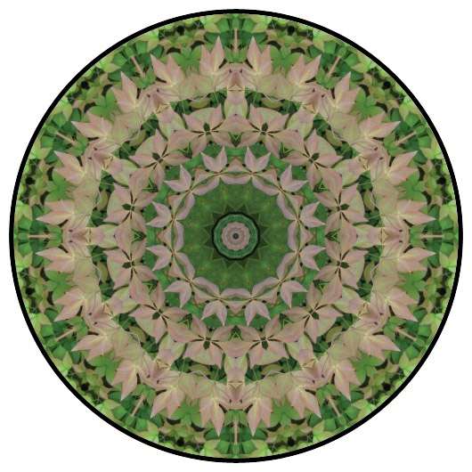 botanical mandala, mandala art