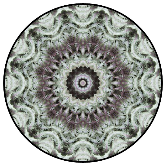 botanical mandala, mandala art