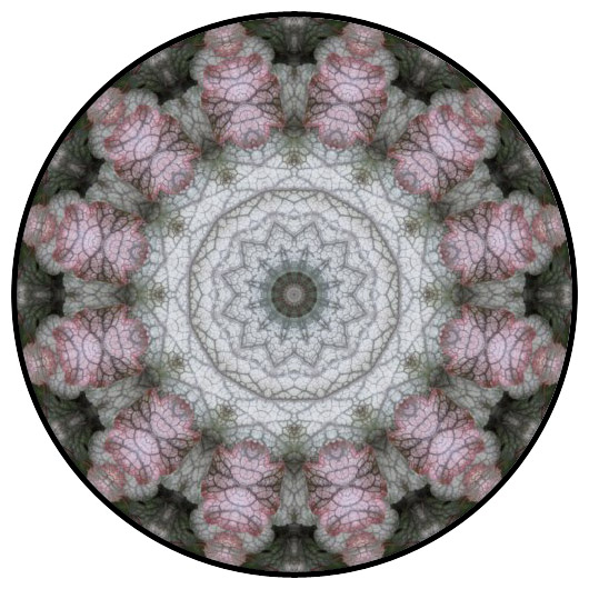 botanical mandala, mandala art