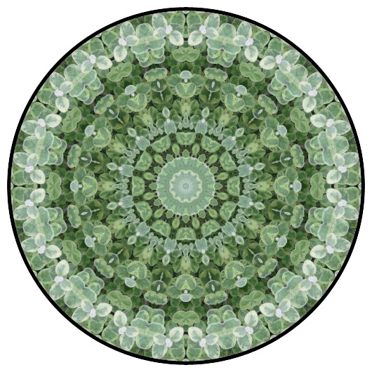 botanical mandala, mandala art