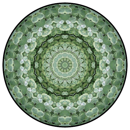 botanical mandala, mandala art