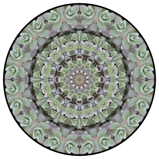 botanical mandala, mandala art