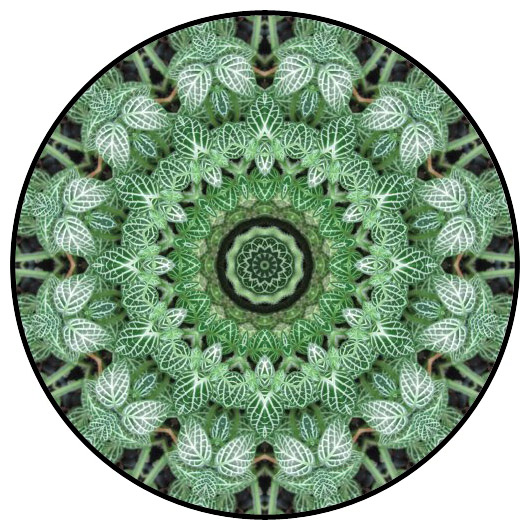 botanical mandala, mandala art