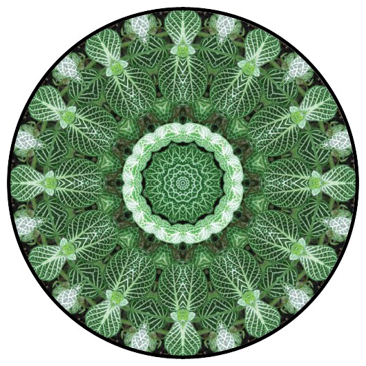 botanical mandala, mandala art