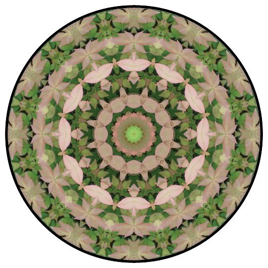 botanical mandala, mandala art
