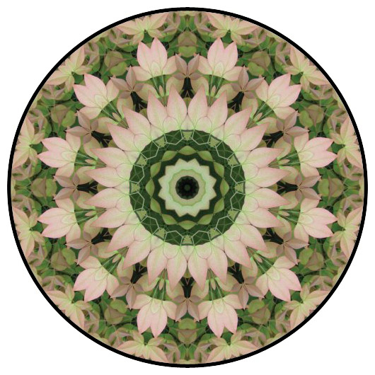 botanical mandala, mandala art