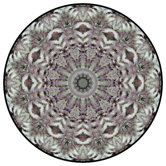 botanical mandala, mandala art