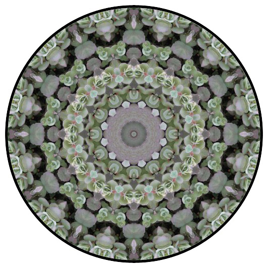 botanical mandala, mandala art