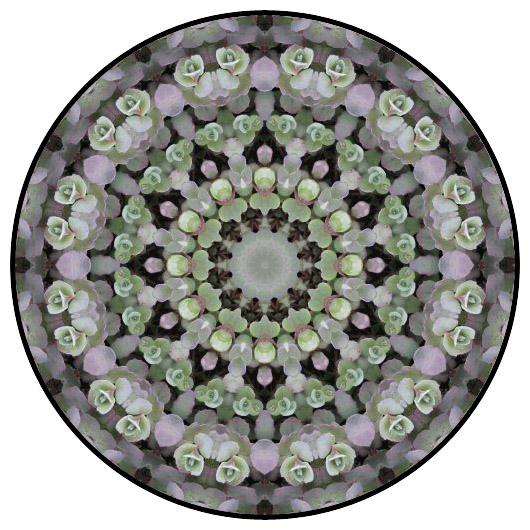 botanical mandala, mandala art