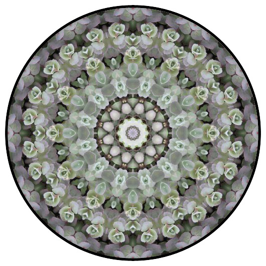 botanical mandala, mandala art