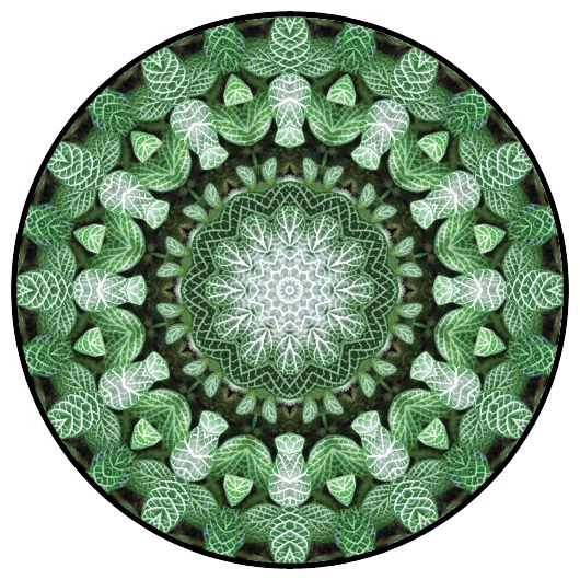 botanical mandala, mandala art