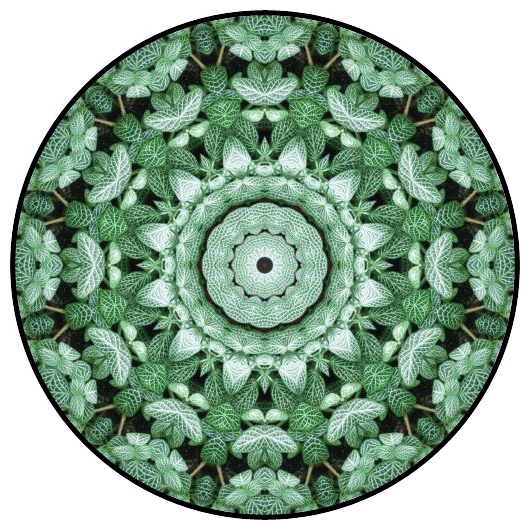 botanical mandala, mandala art