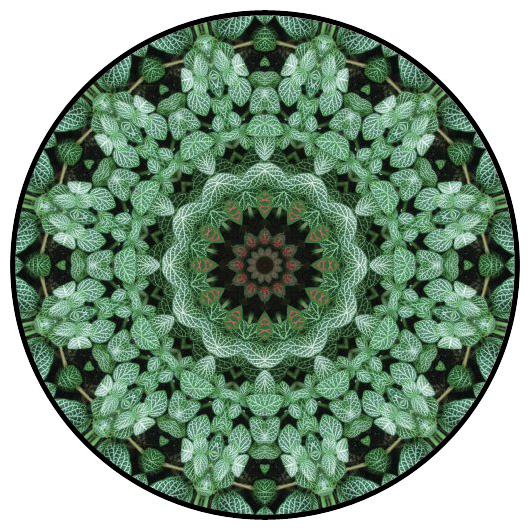 botanical mandala, mandala art