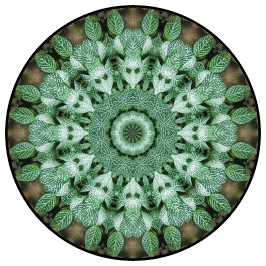 botanical mandala, mandala art