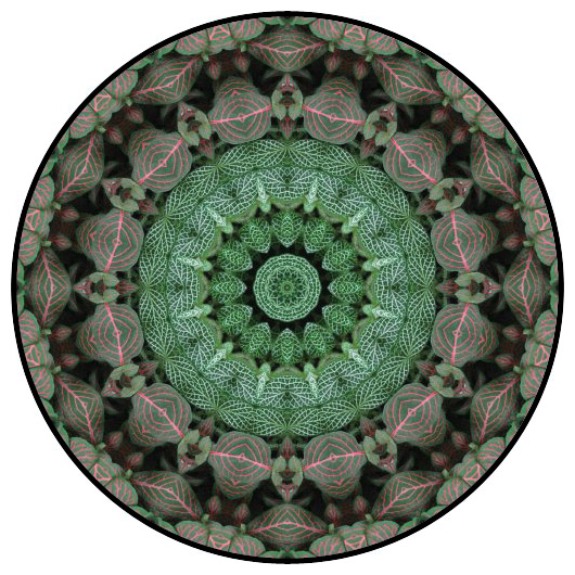 botanical mandala, mandala art