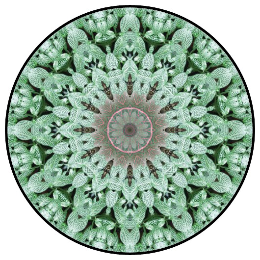 botanical mandala, mandala art