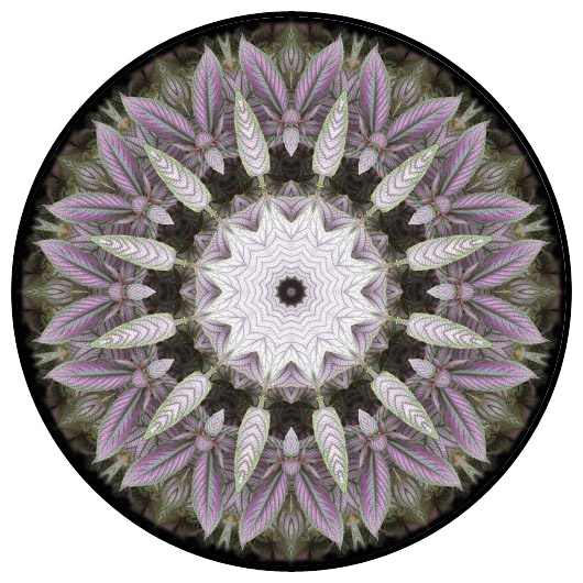 botanical mandala, mandala art